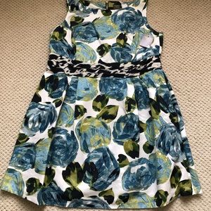 Taylor Woman Blue/Green Fit & Flare Dress. Size 16W.